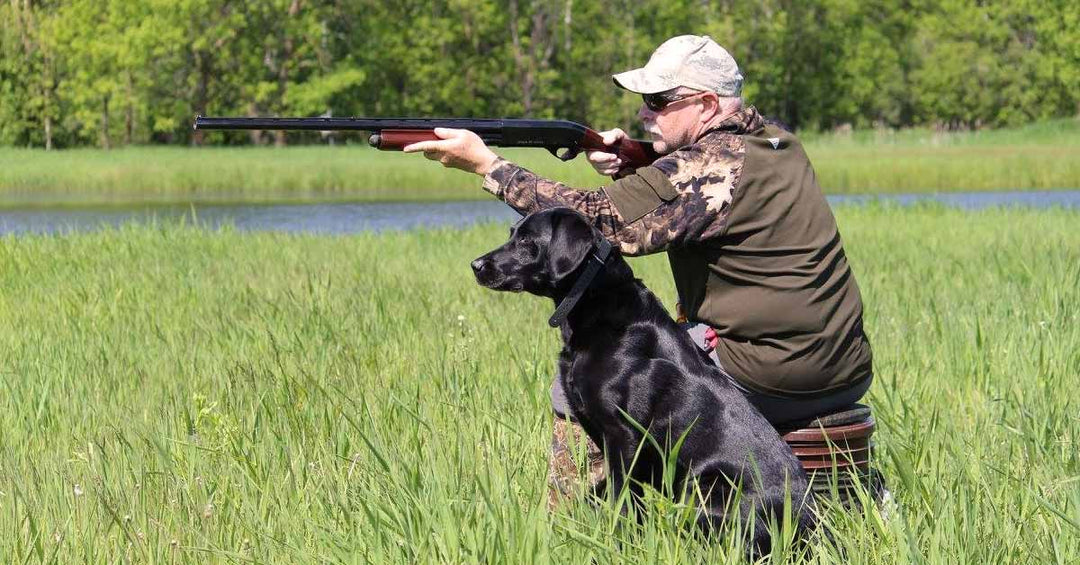 The Four Phases of Canine Learning