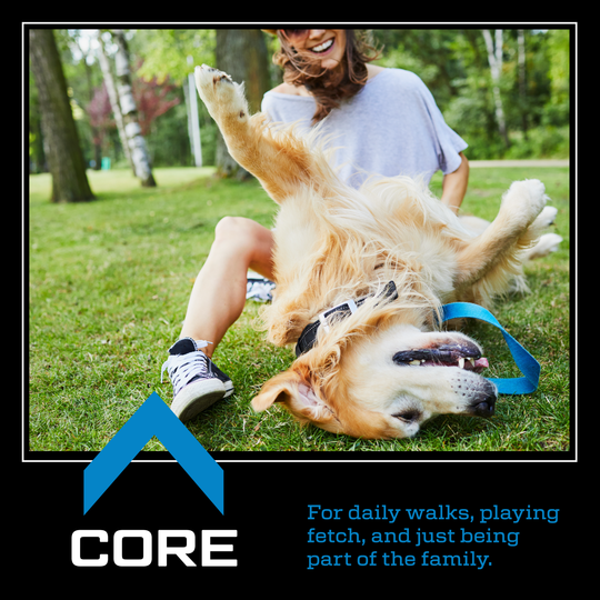 Core