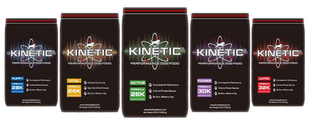 Kinetic puppy deals food