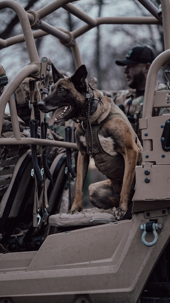 K9 NARCO